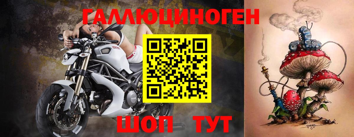 Галлюциногенные грибы MAGIC MUSHROOMS  Вход с VPN  Новодвинск 